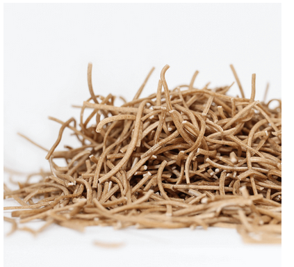 orkisz razowy nitki.png