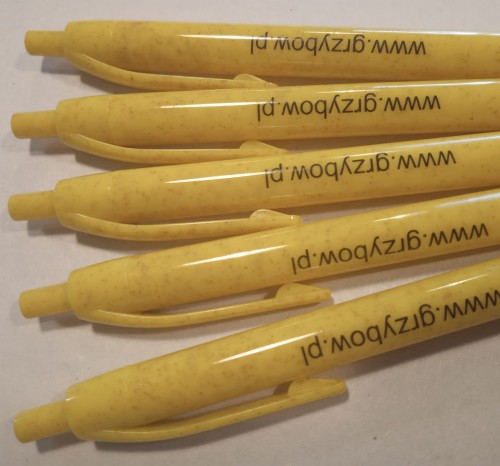 długopis 2.jpg